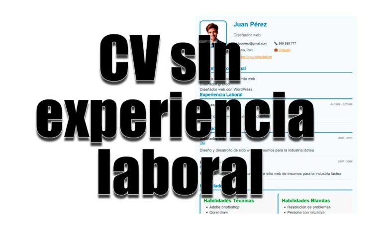Cómo hacer un currículum vitae sin experiencia laboral